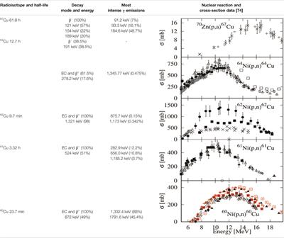 Biological Pathways as Substantiation of the Use of Copper Radioisotopes in Cancer Theranostics